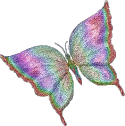 Glistening green, blue, and purple butterfly