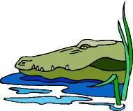 Crafty alligator sneaking about in swamp