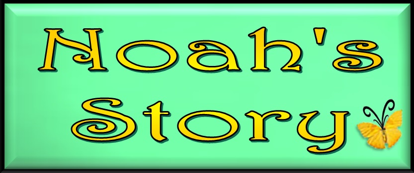 Noah's Story